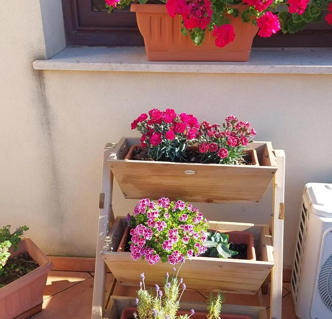 Apartament Residence Barbara Trapani