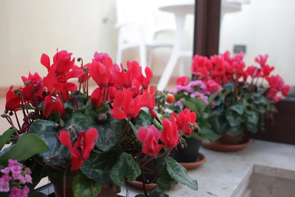 Apartment Residence Barbara Trapani Italy